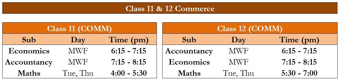 Class 11 Commerce Tuition in Dwarka | Accountancy & Economics